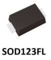 SS10100FL_R1_00001